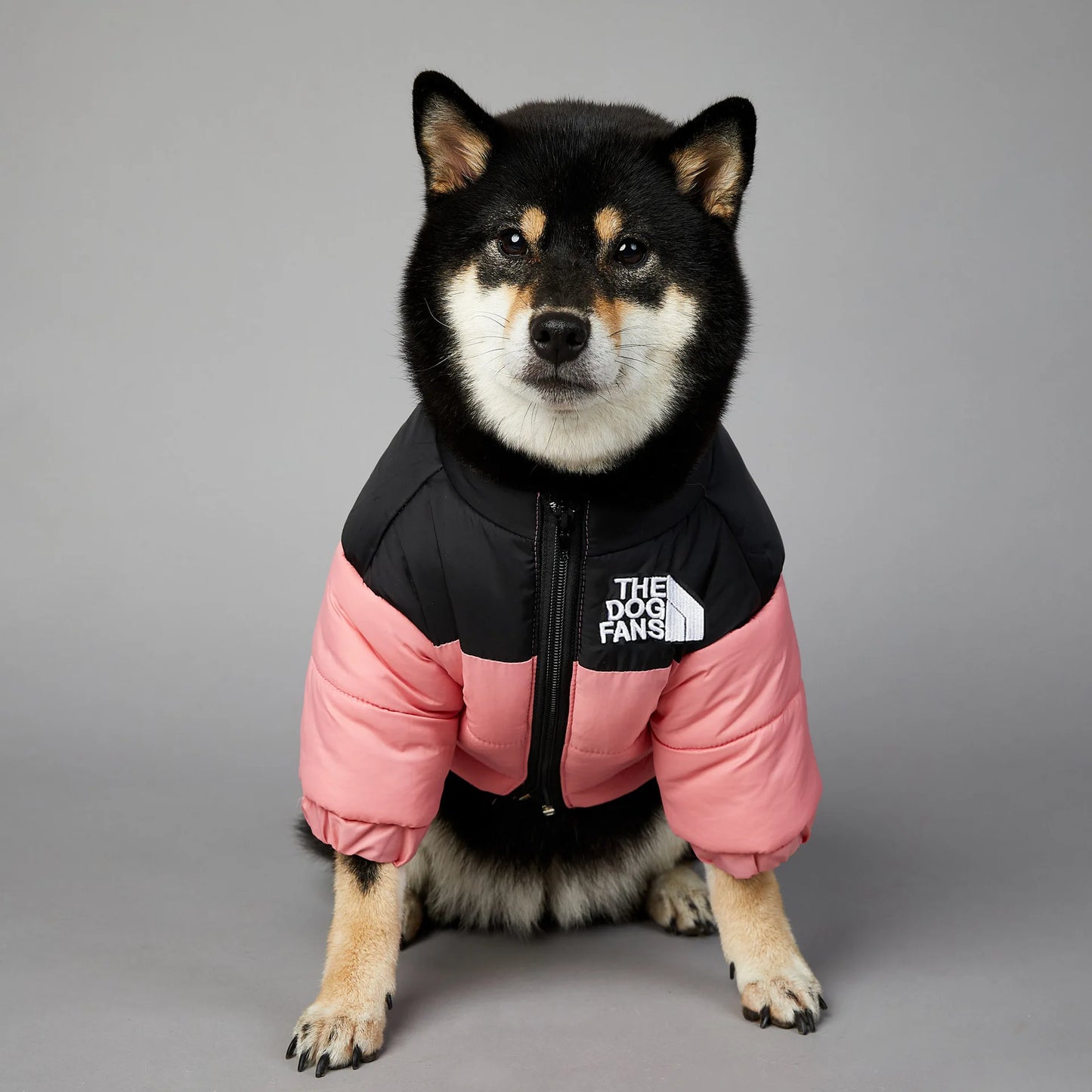 2025 Winter Pet Dog Cotton Jacket