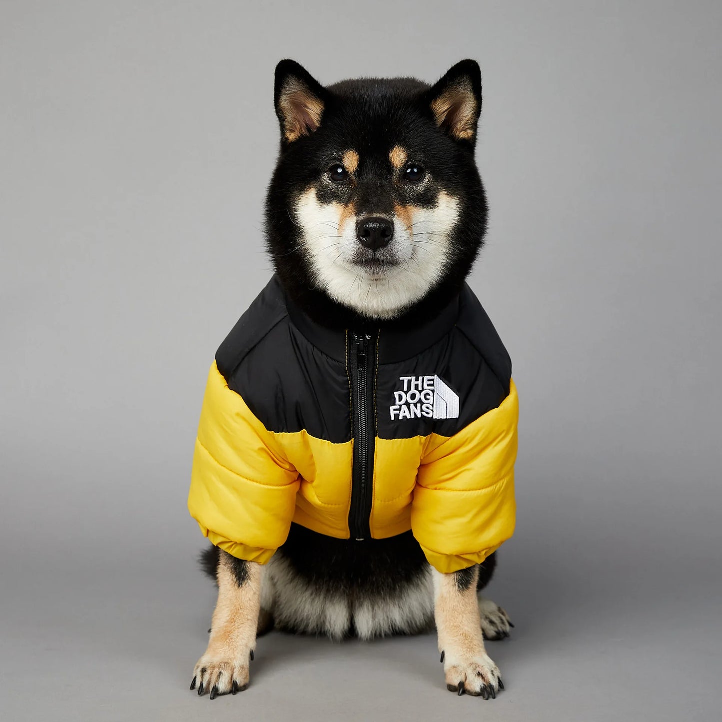 2025 Winter Pet Dog Cotton Jacket