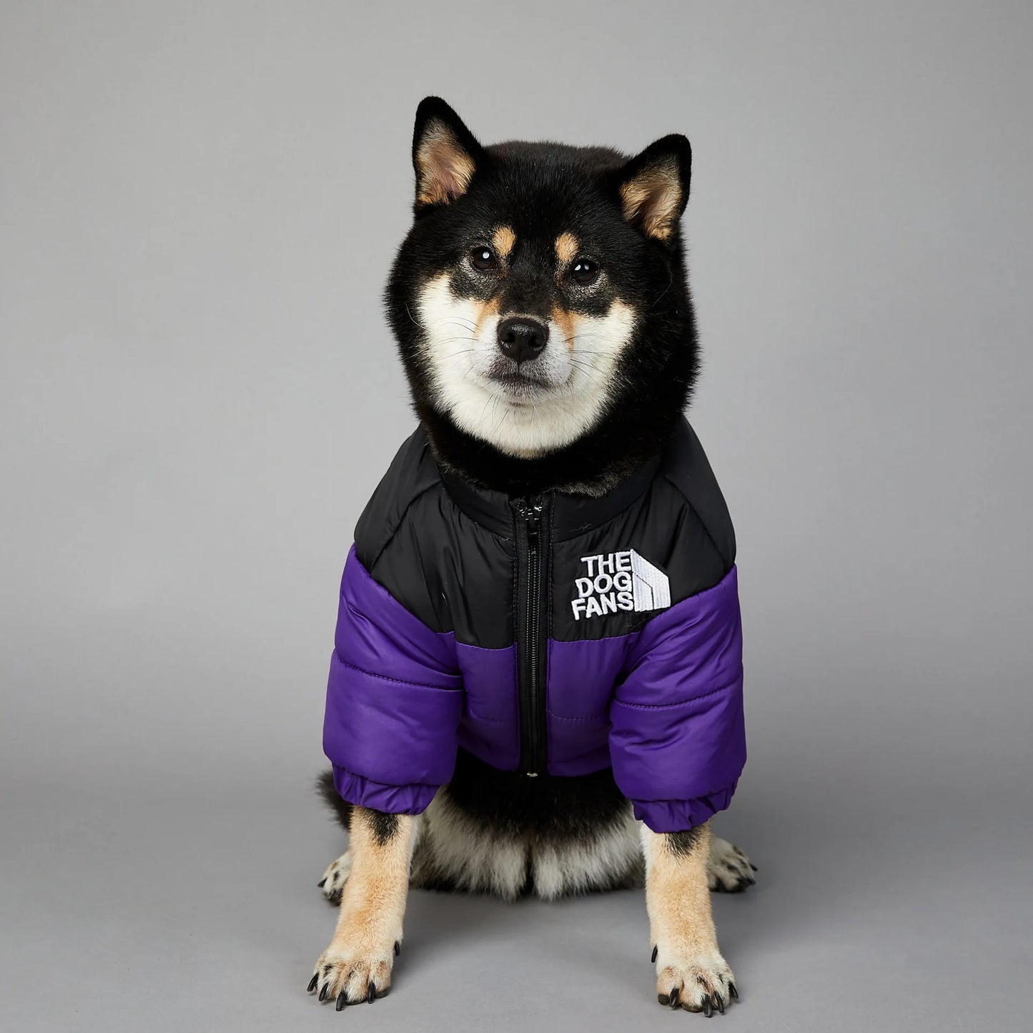 2025 Winter Pet Dog Cotton Jacket