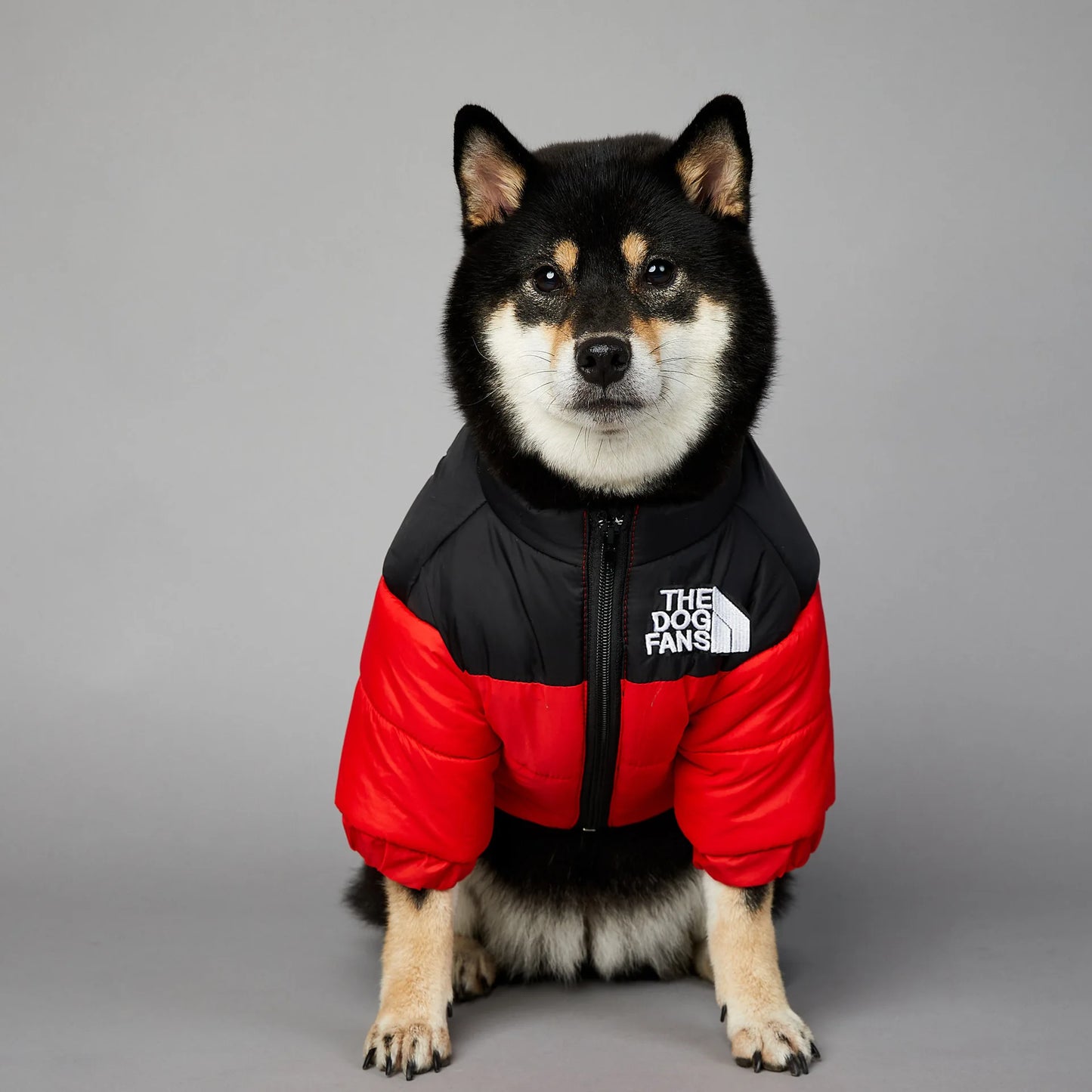 2025 Winter Pet Dog Cotton Jacket