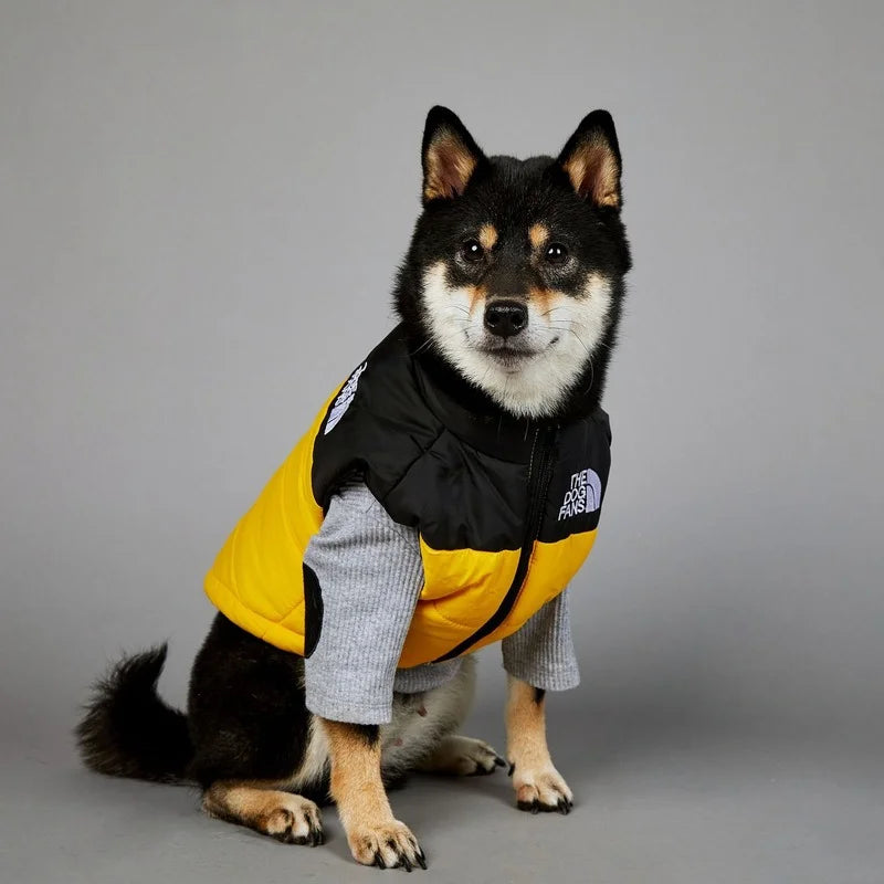 2025 New Dog Face Pet Clothes