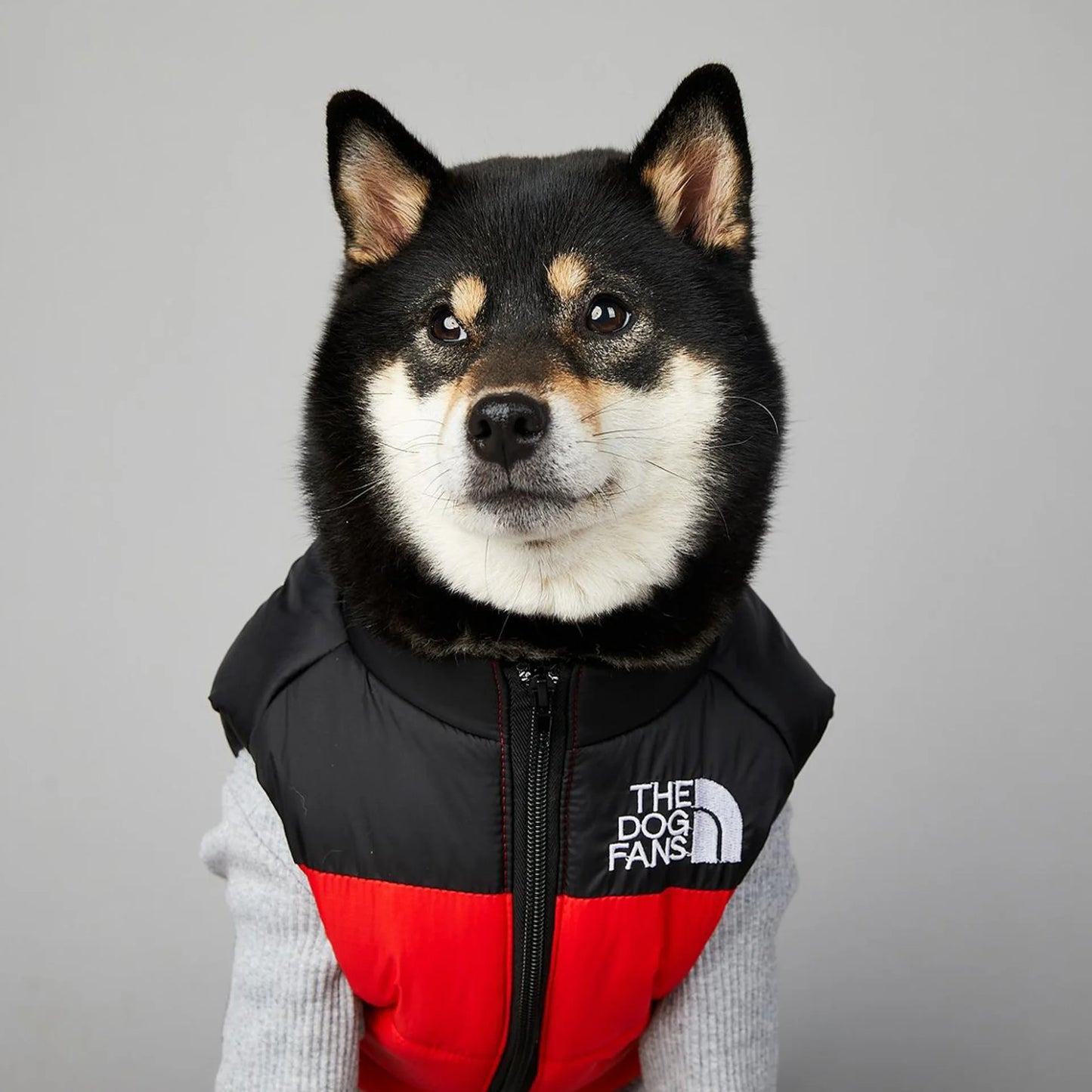 2025 New Dog Face Pet Clothes