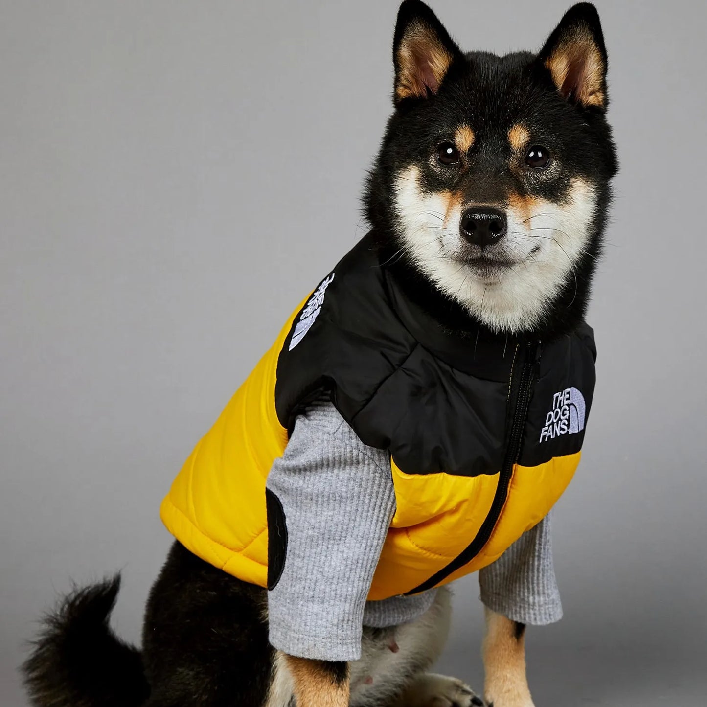 2025 New Dog Face Pet Clothes